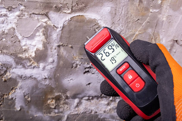 Best Kitchen Mold Remediation in Neah Bay, WA