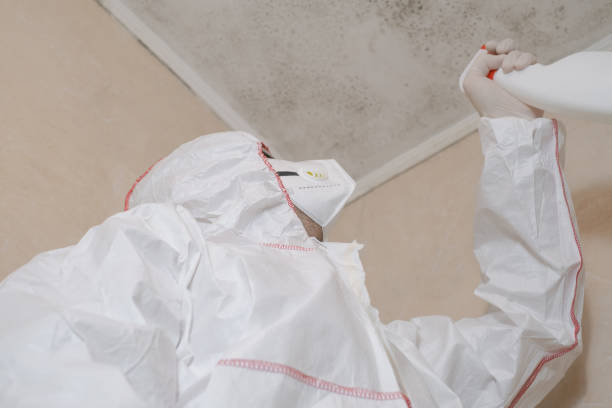 Best Bathroom Mold Remediation in Neah Bay, WA